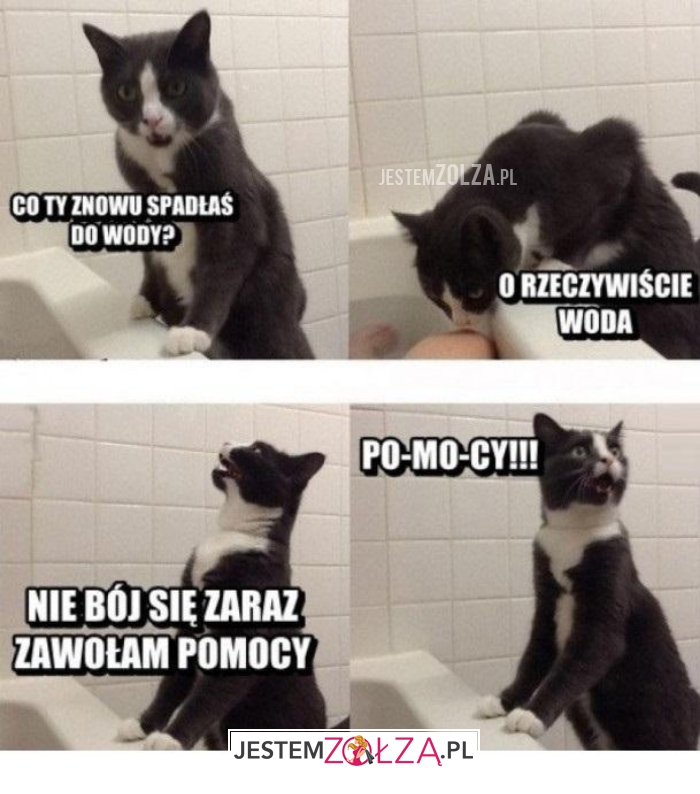 co ty znowu spadłąś