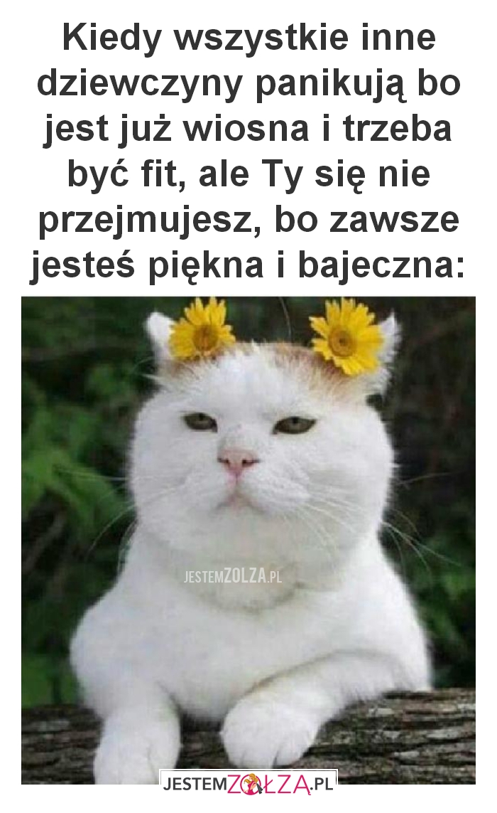 Kiedy wszystkie inne dziewczyny
