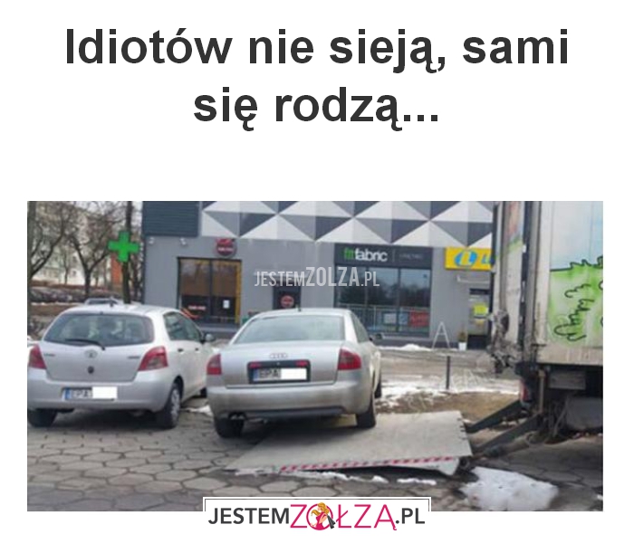 Idiotów nie sieją