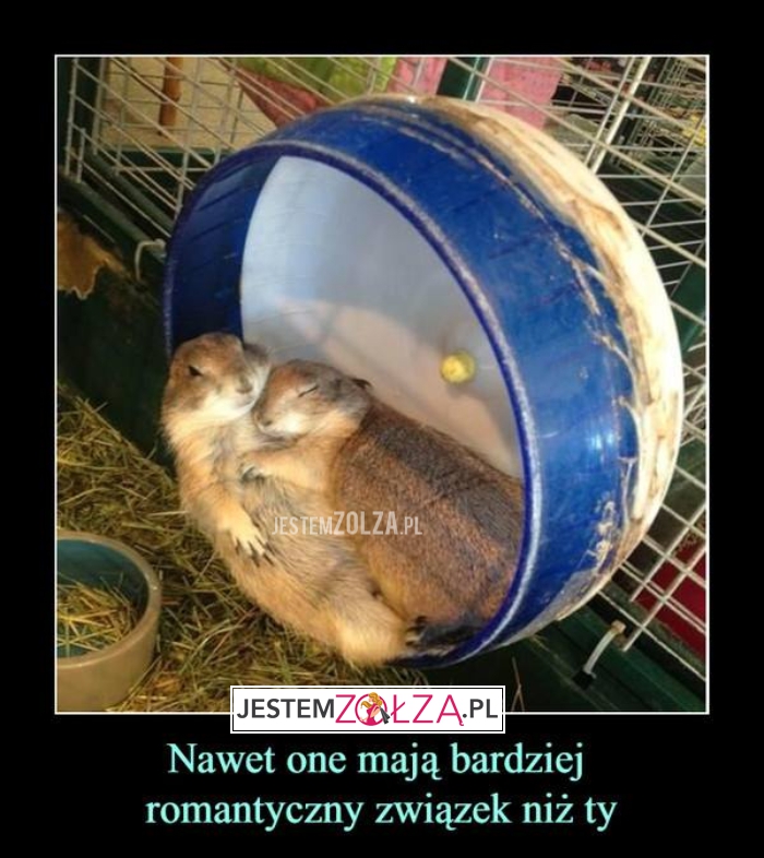 nawet one mają bardziej romantyczny związek niż ty 