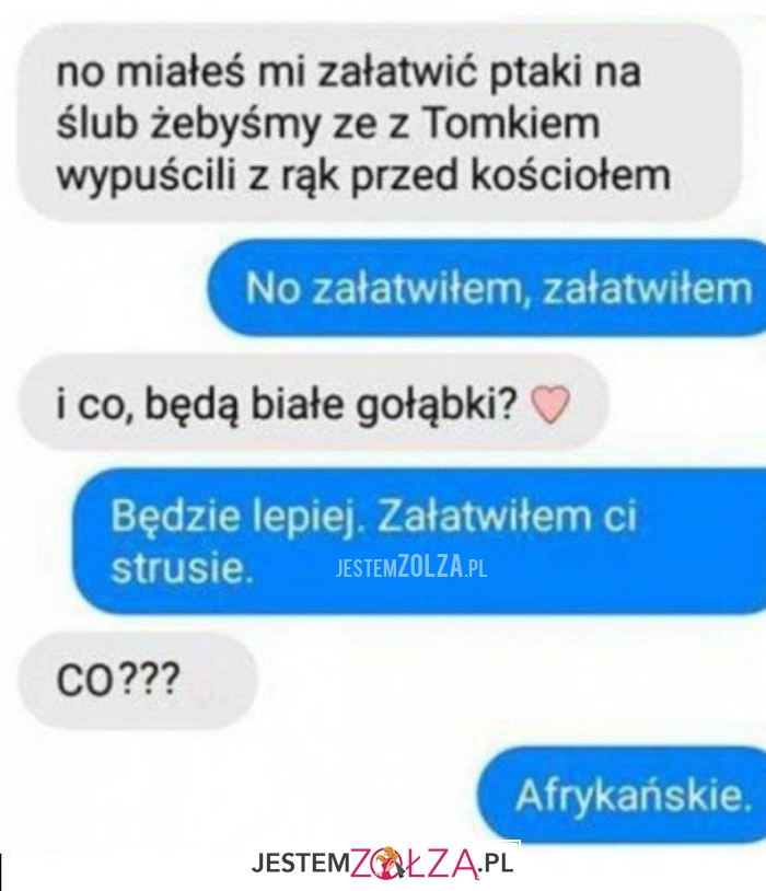 no miałeś mi załątwić