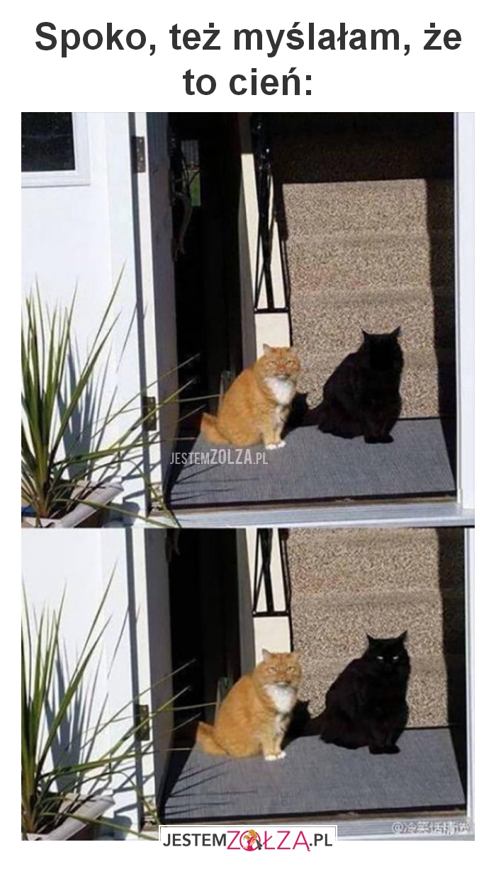 Spoko, też myślałam