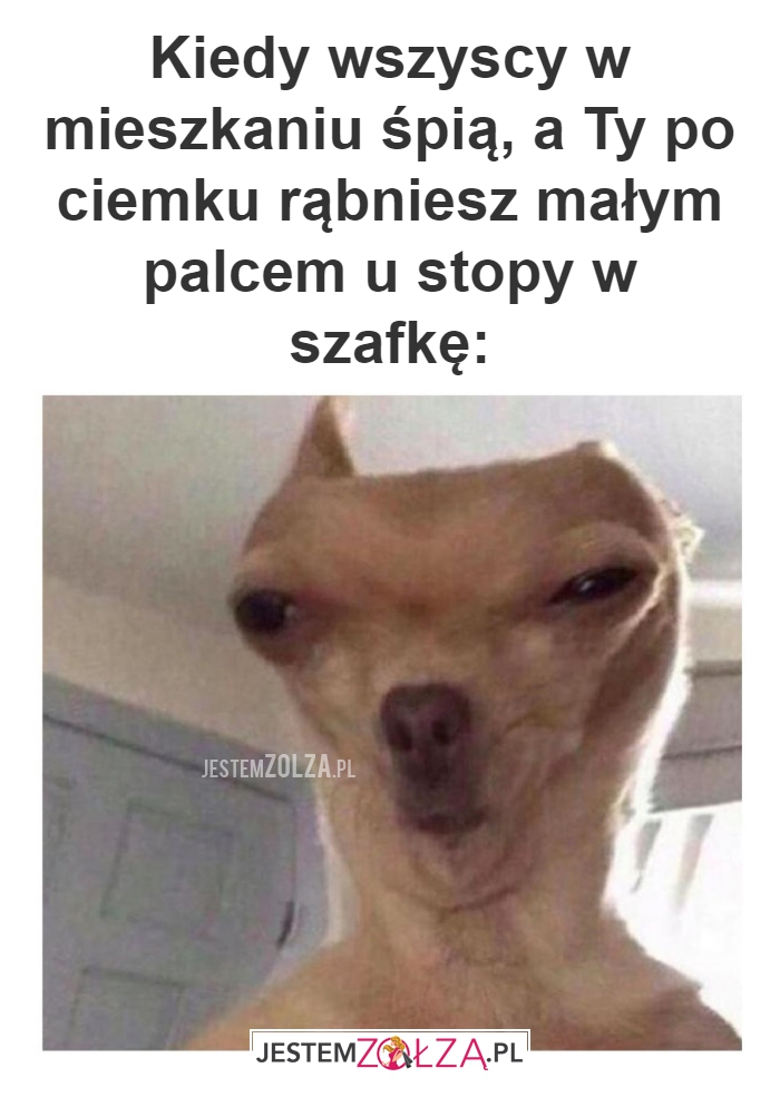 Kiedy wszyscy w mieszkaniu