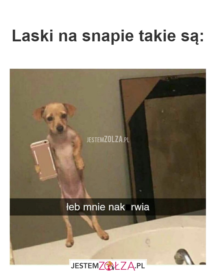 Laski na snapie takie są