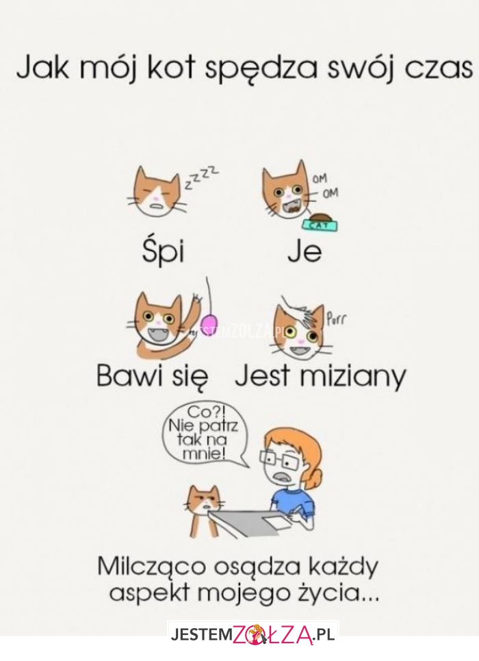 jak mój kot