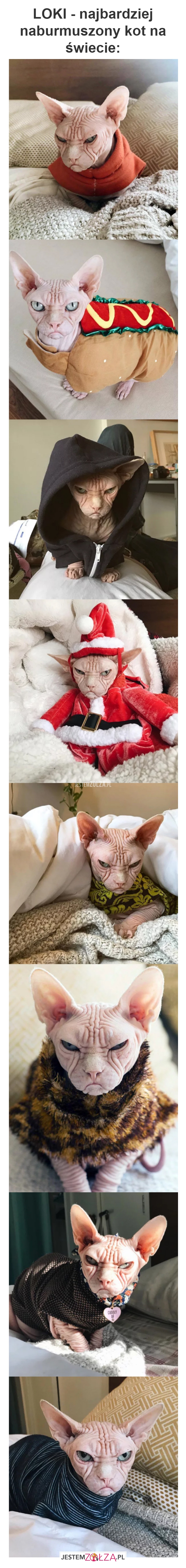 LOKI - najbardziej
