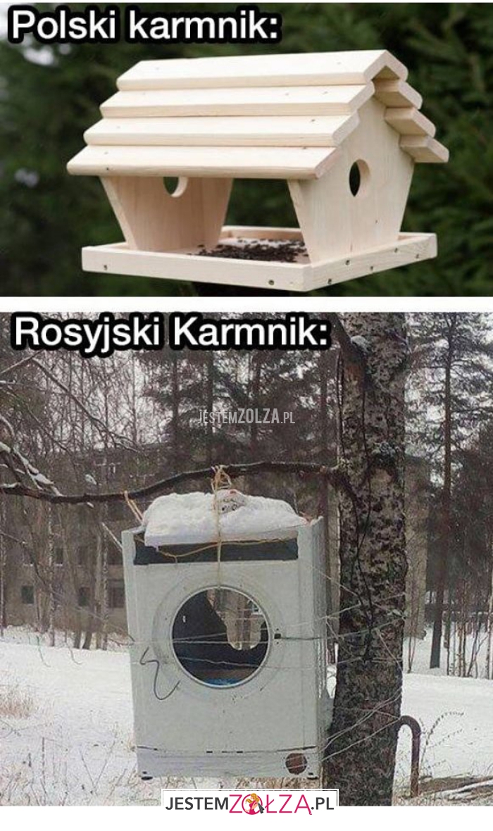 polski karmnik