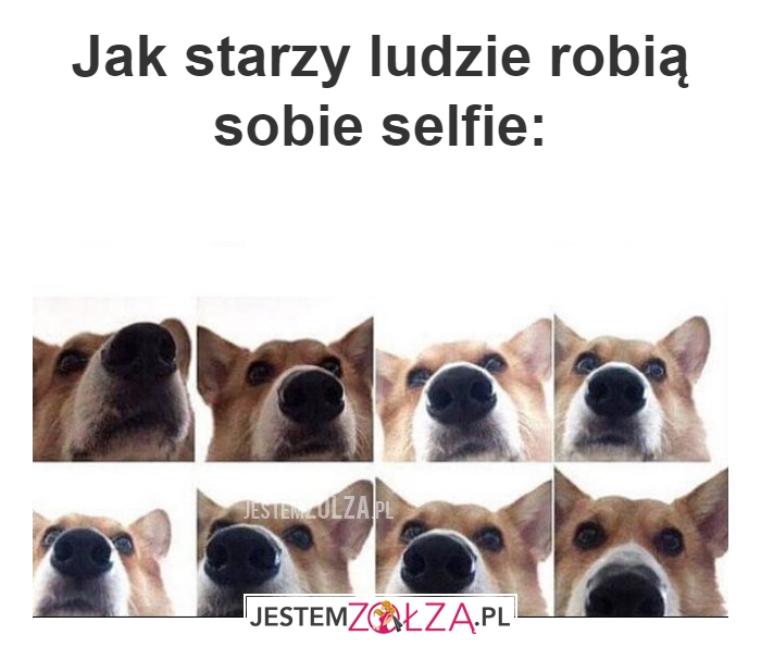 Jak starzy ludzie 