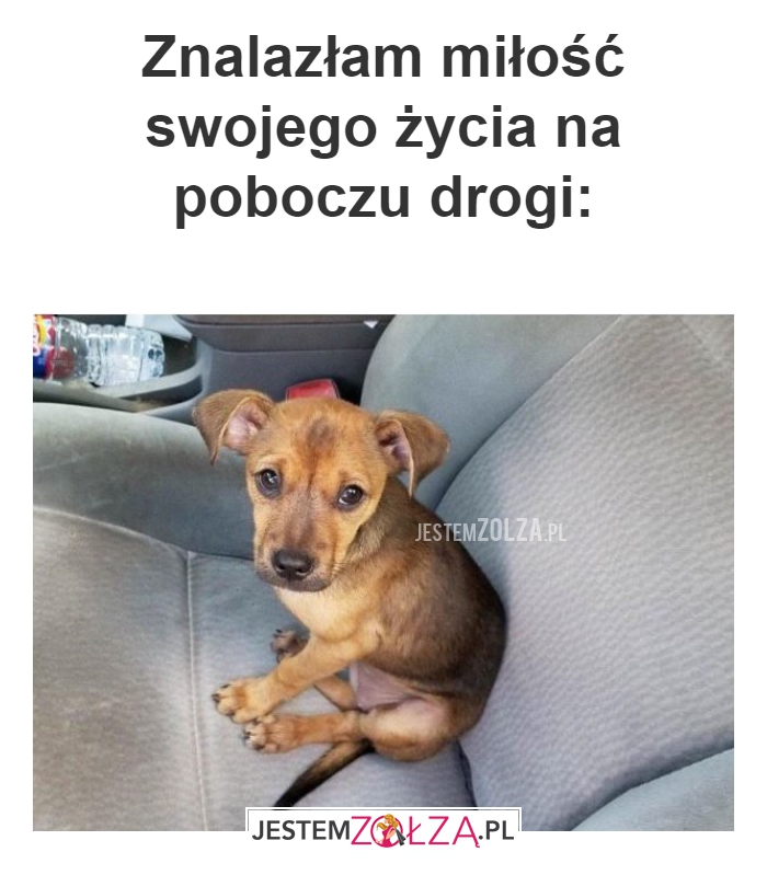 Znalazłam miłość swojego
