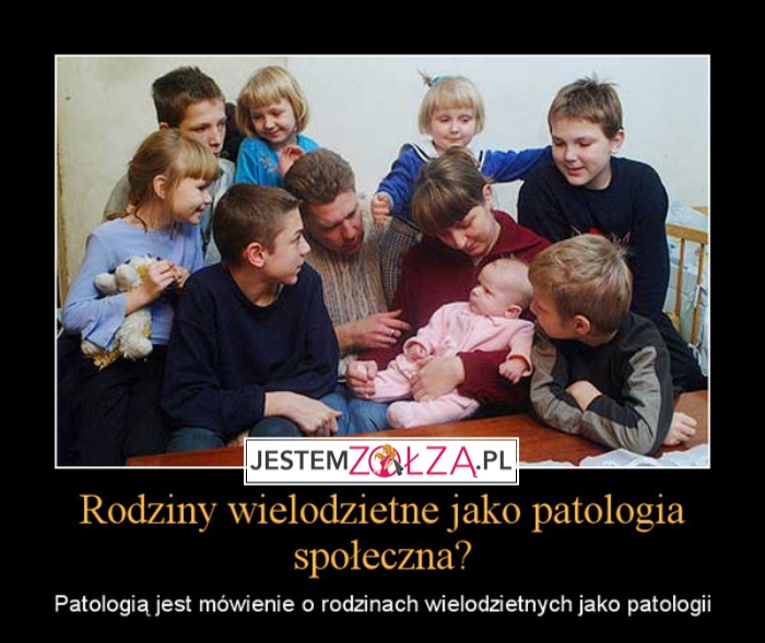 Rodziny wielodzietne jako patologia społeczna?