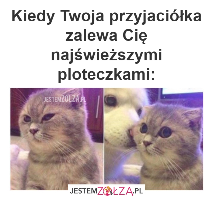 Kiedy Twoja przyjaciółka 