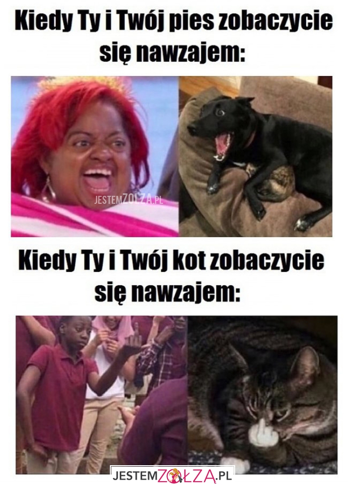 kiedy ty i Twój