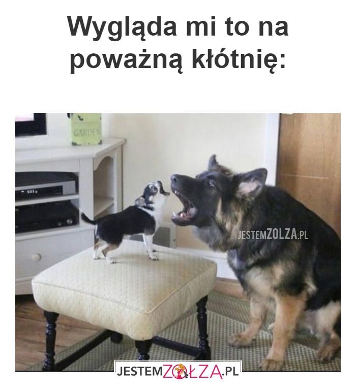Wygląda mi to