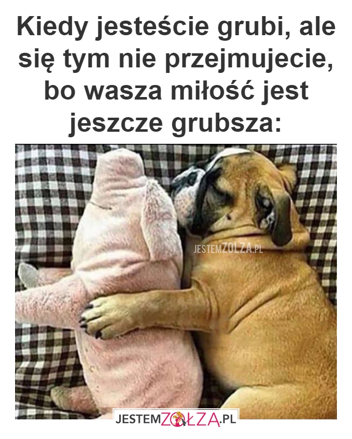 Kiedy jesteście grubi