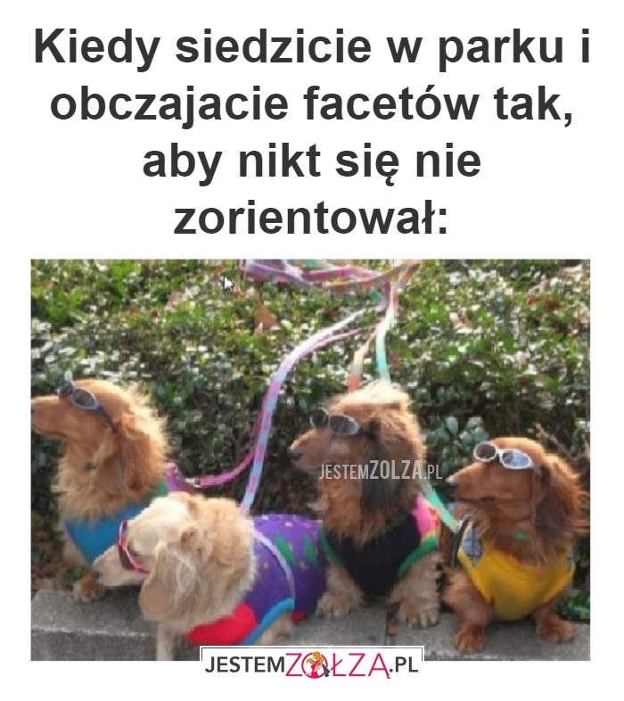 Kiedy siedzicie w parku 