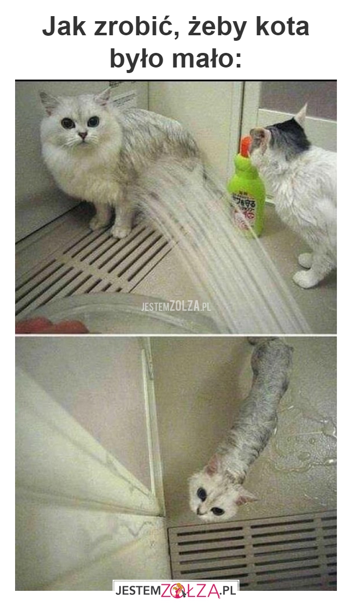 Jak zrobić, żeby 