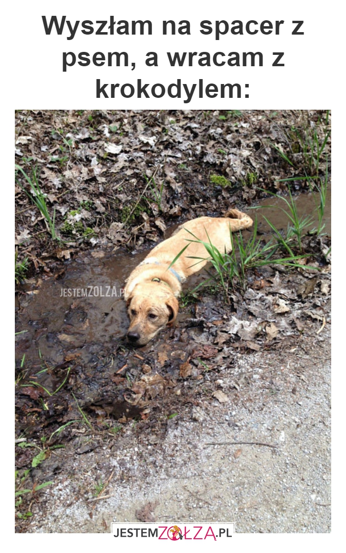 Wyszłam na spacer 