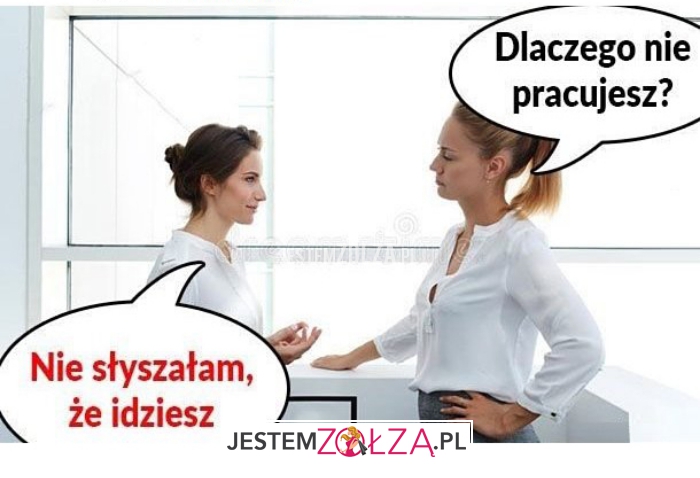 dlaczego nie pracujesz