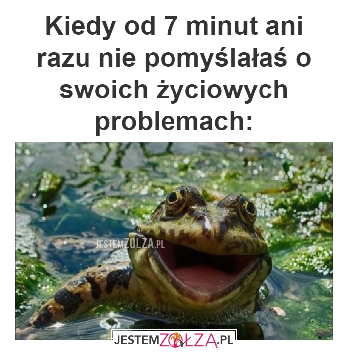 Kiedy od 7 minut ani 