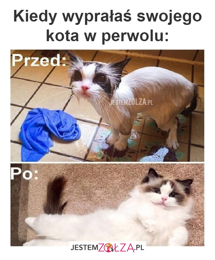 Kiedy wyprałaś