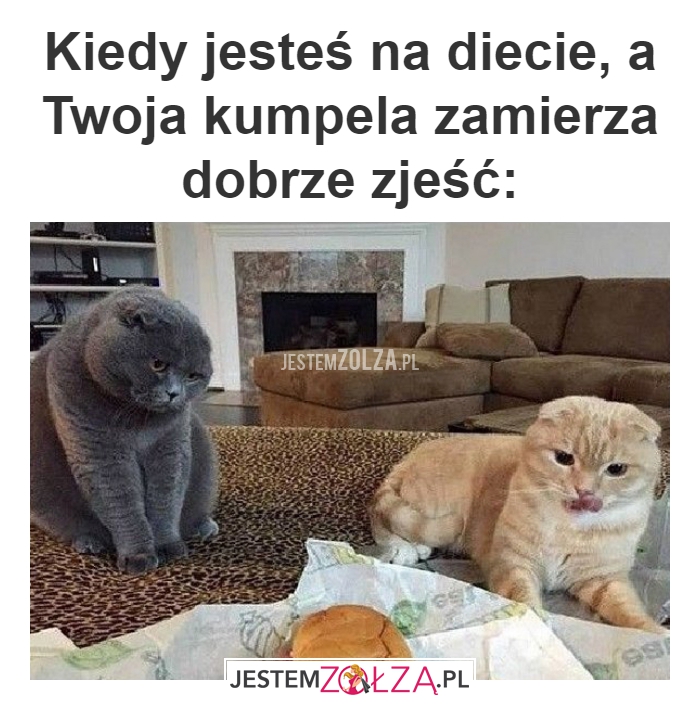 Kiedy jesteś na diecie