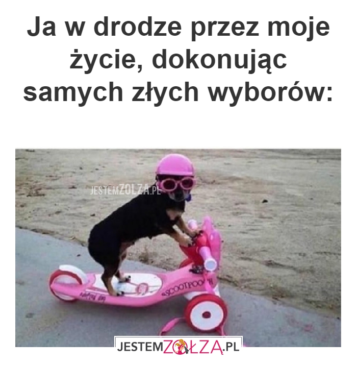 Ja w drodze przez moje