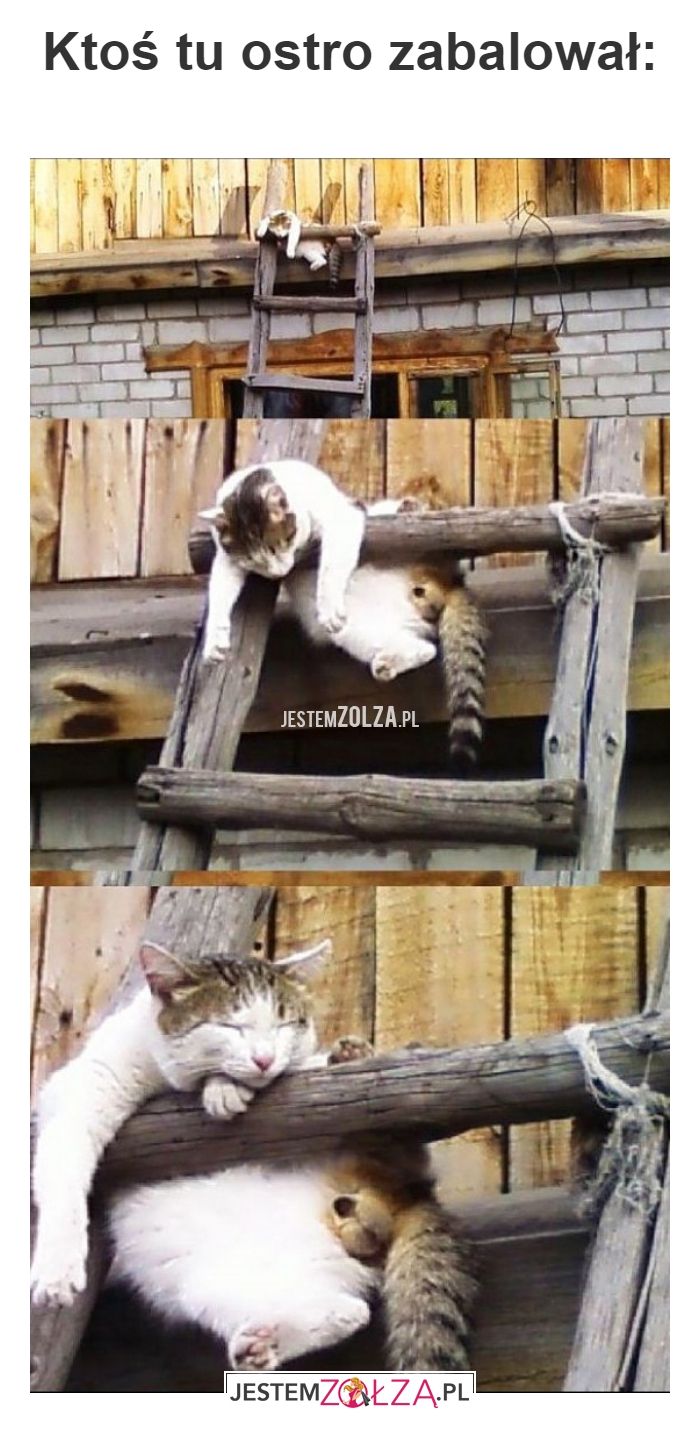 Ktoś tu ostro