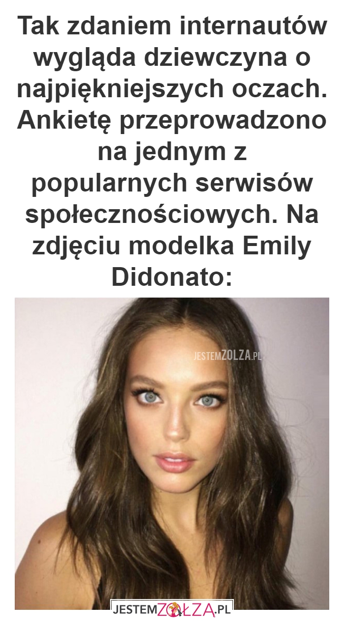 Tak zdaniem internautów