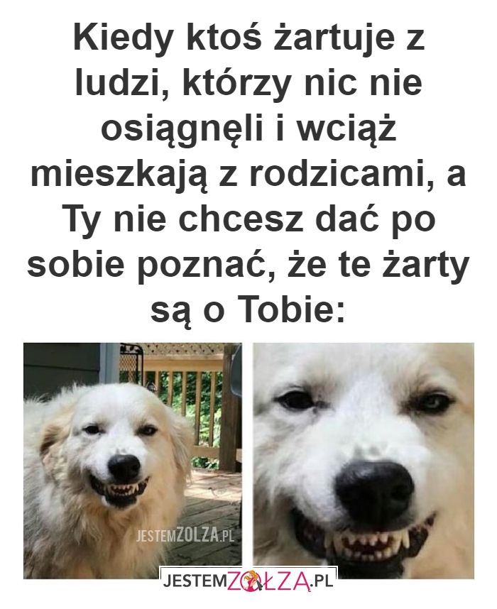 Kiedy ktoś żartuje 
