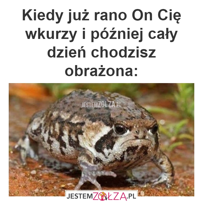Kiedy już rano On 