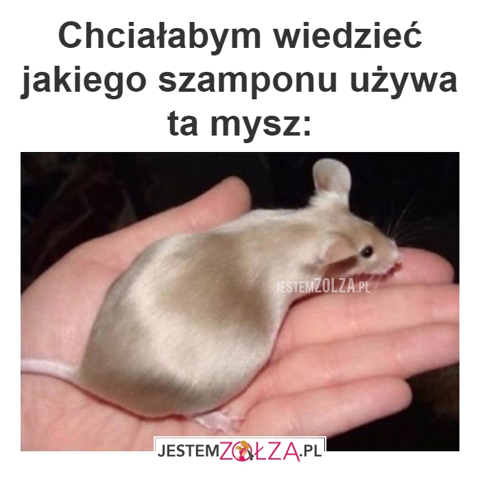 Chciałabym wiedzieć 