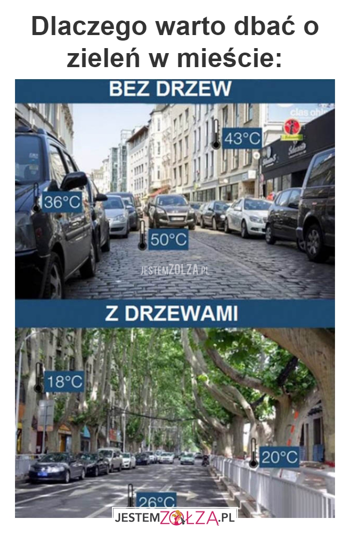 Dlaczego warto 