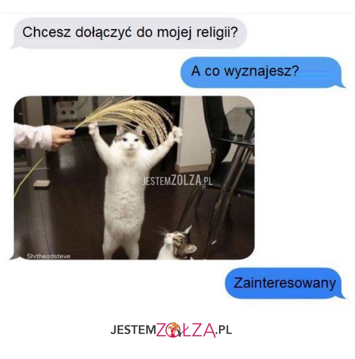 chcesz dołączyć