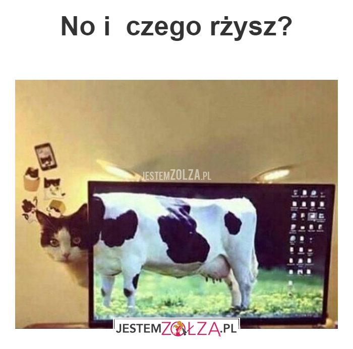 No i  czego rżysz?