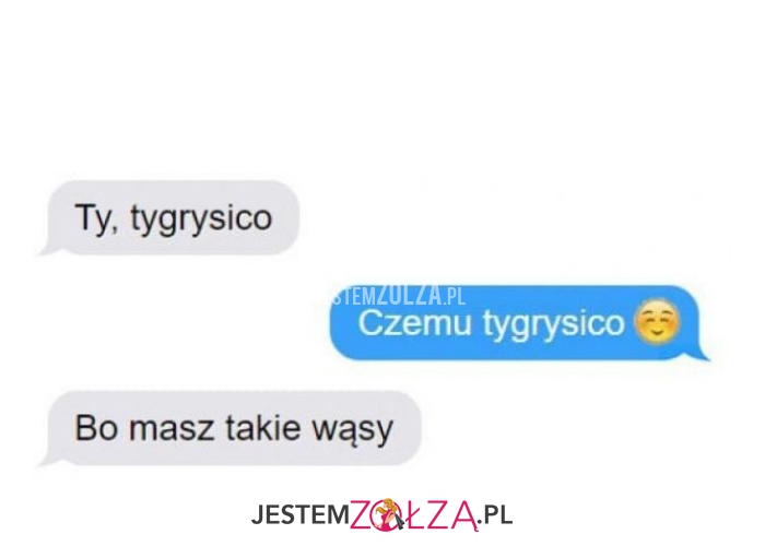 ty tygrysico