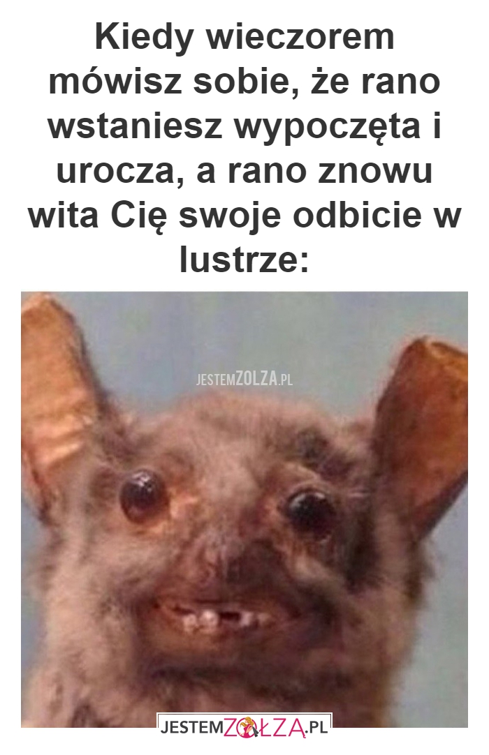 Kiedy wieczorem mówisz sobie, że rano wstaniesz wypoczęta i urocza, a rano znowu wita Cię swoje odbicie w lustrze: