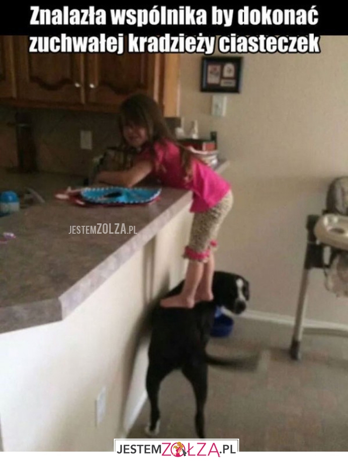 znalazła wspólnika