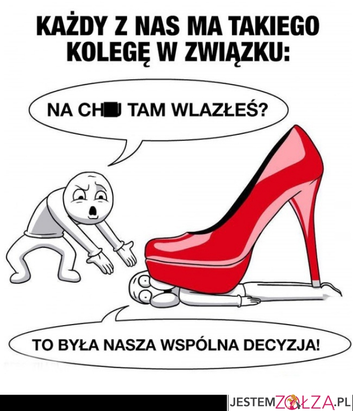 Kolega...