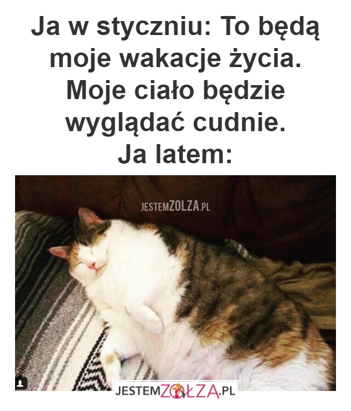 Ja w styczniu