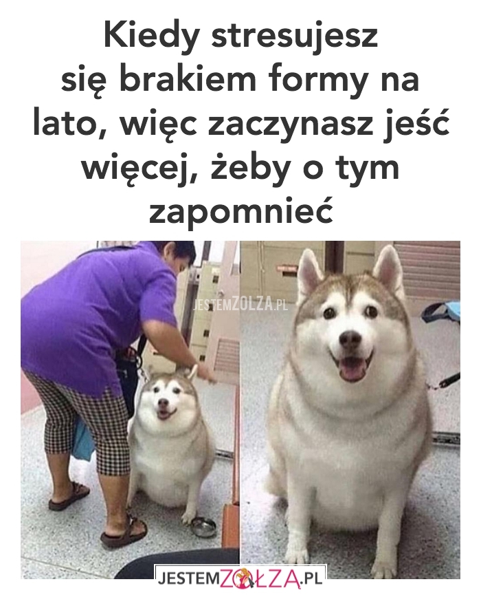 Brak formy