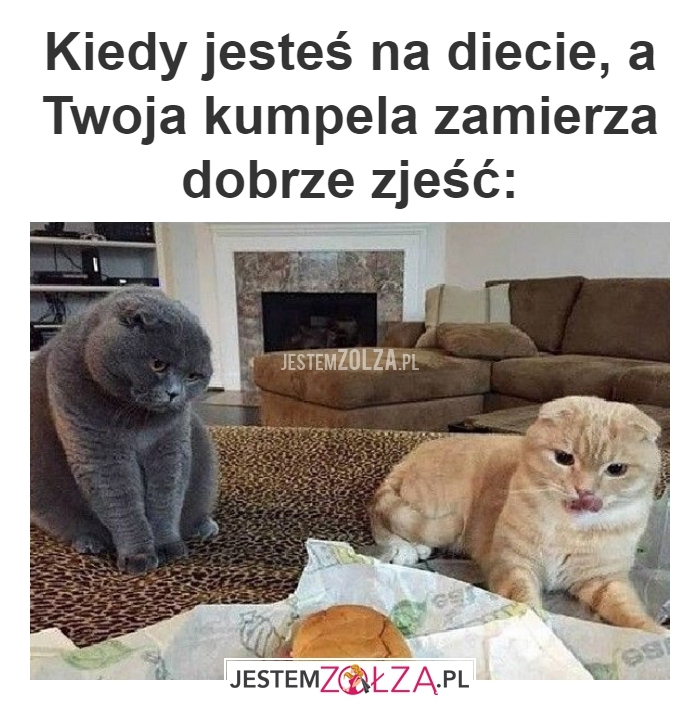 Dieta