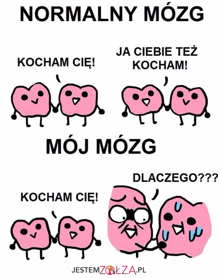 normalny mózg 