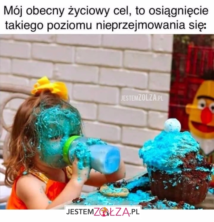 życiowy cel 