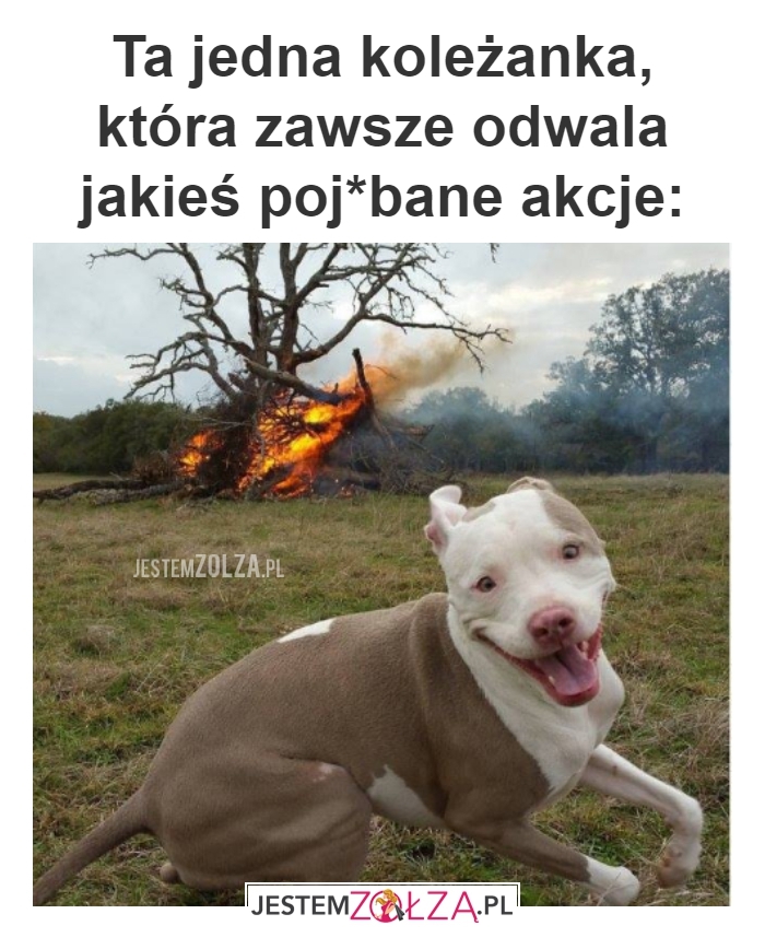 ta jedna