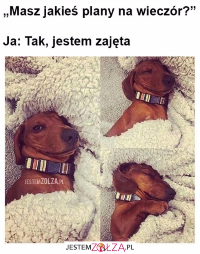 jestem zajęta 