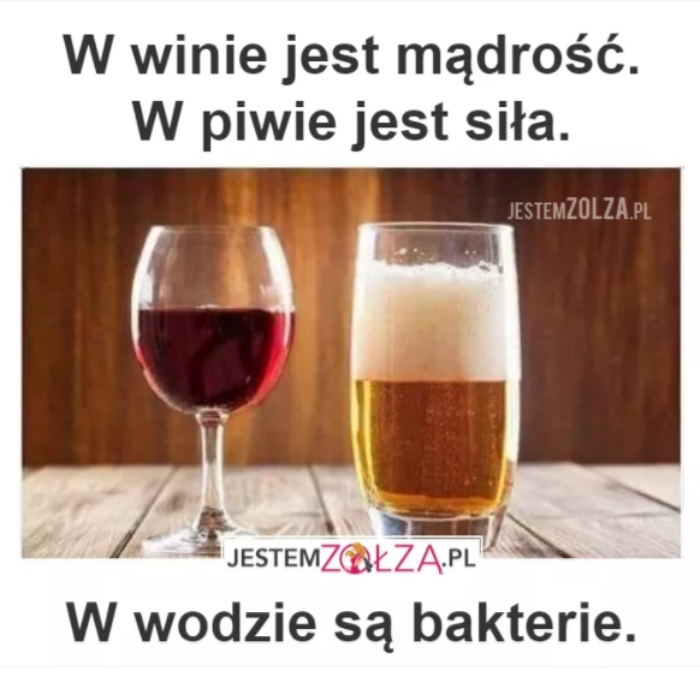 mądrość 