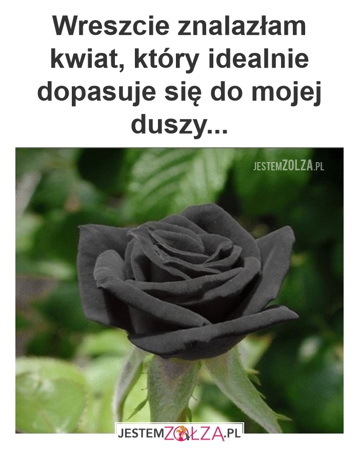 moja dusza 