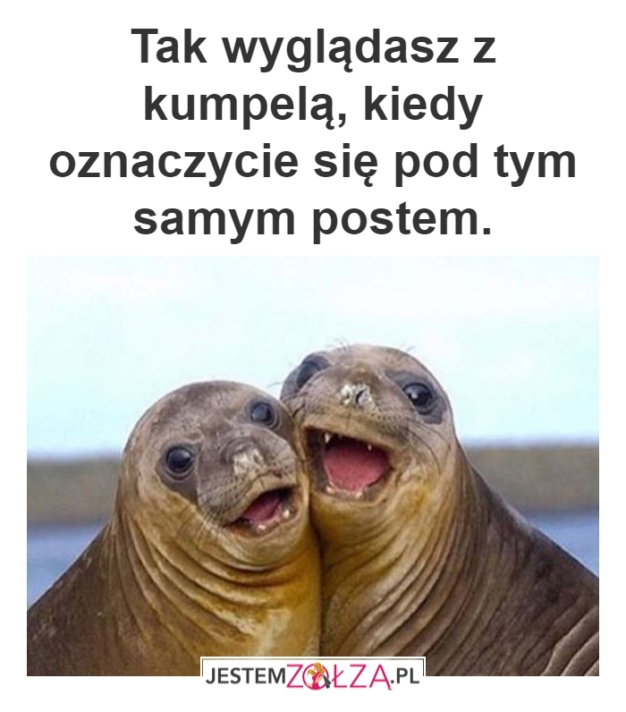 tak wyglądasz 