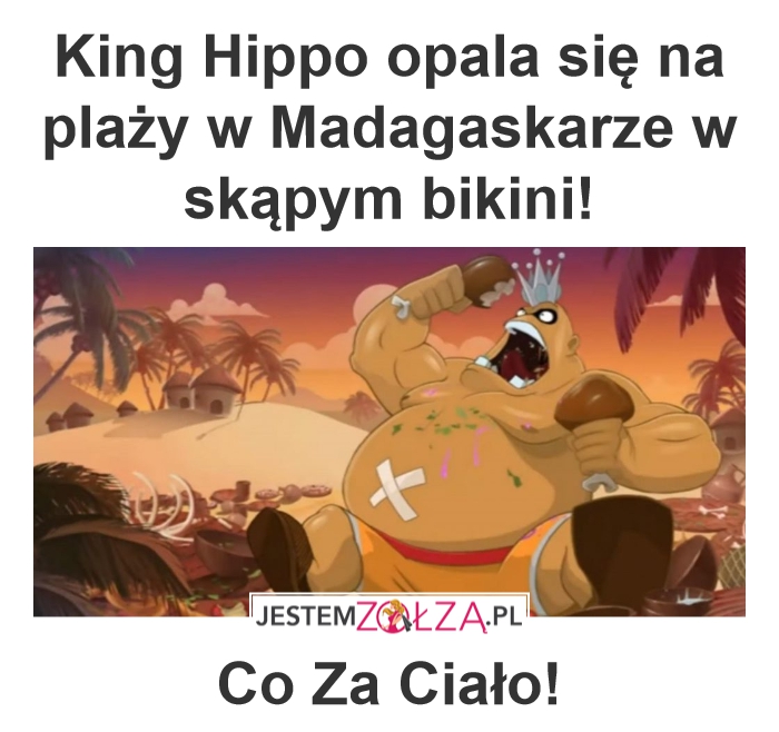 King Hippo opala się na plaży w Madagaskarze w skąpym bikini!