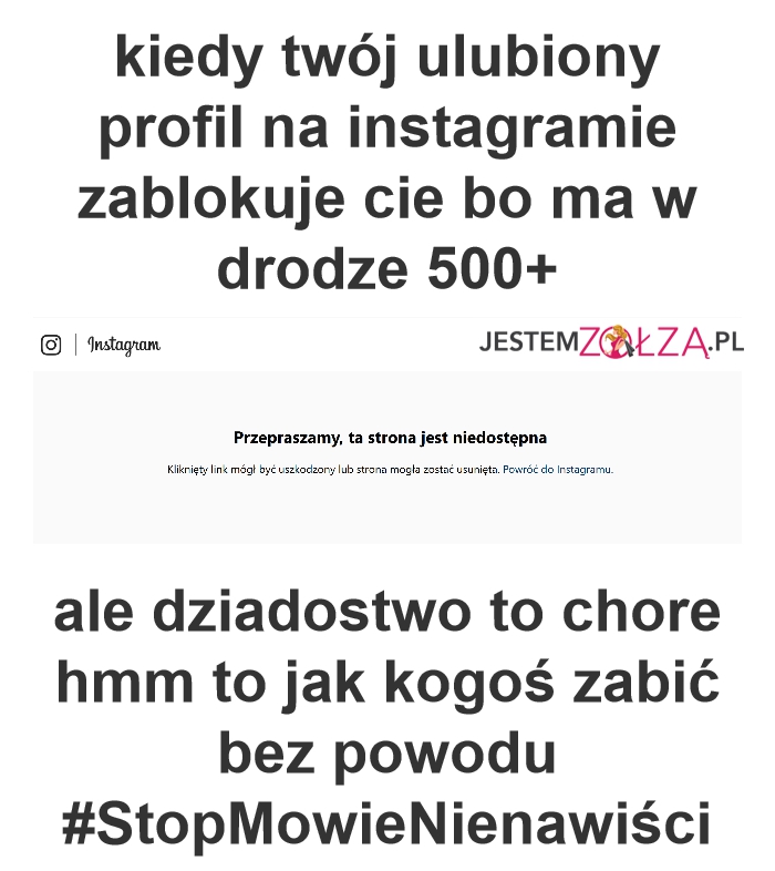feminizm o kobiet na instagramie  magdanlena